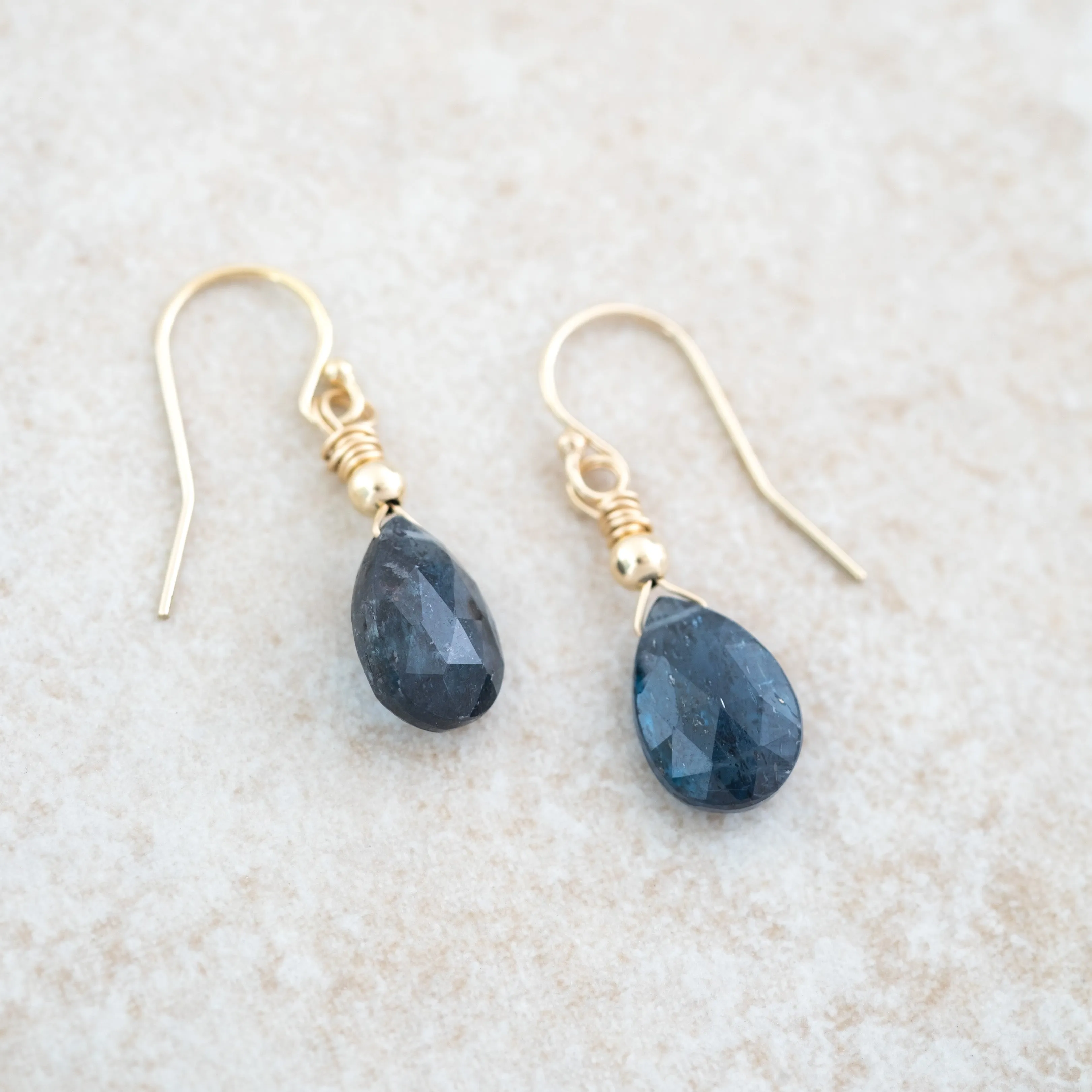 Deep Waters Earrings