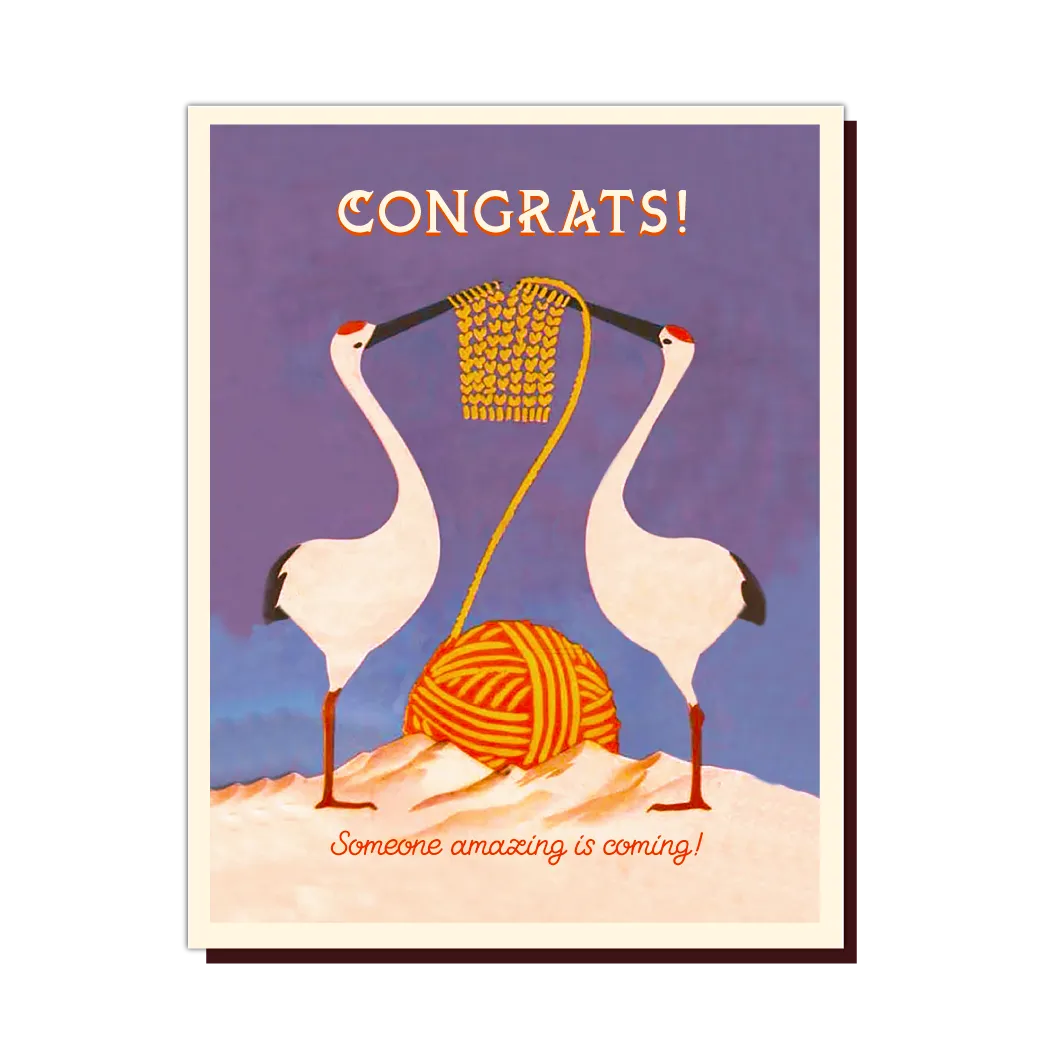 TWO STORKS baby card